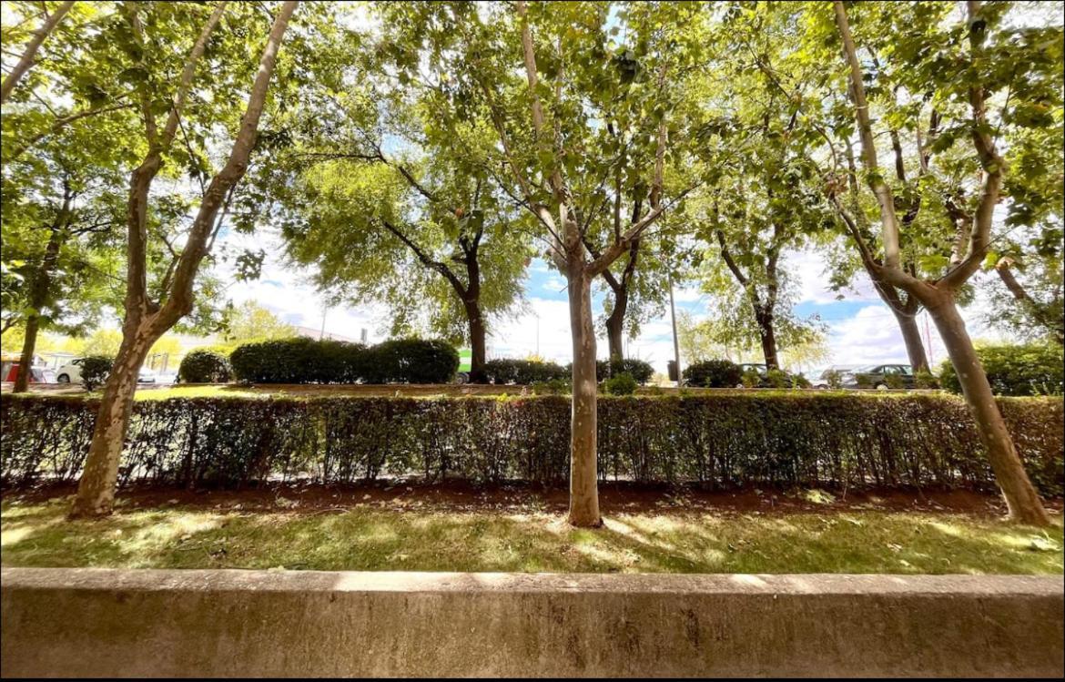Maximilian Dreams Apartment Madrid Ngoại thất bức ảnh